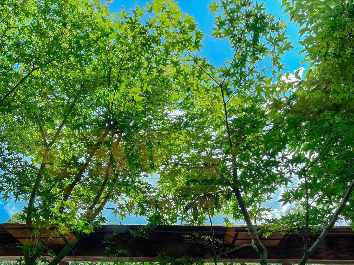 Kappo Ryokan Yumesaki Beppu Exteriér fotografie